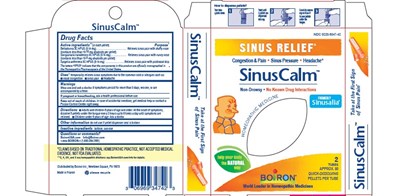 Box (Sinuscalm Pellet Mdt 6837063 7.2019)